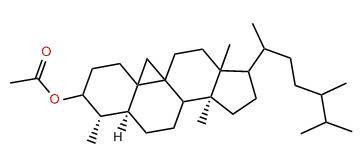 24(28)-Dihydrocycloeucalenol acetate